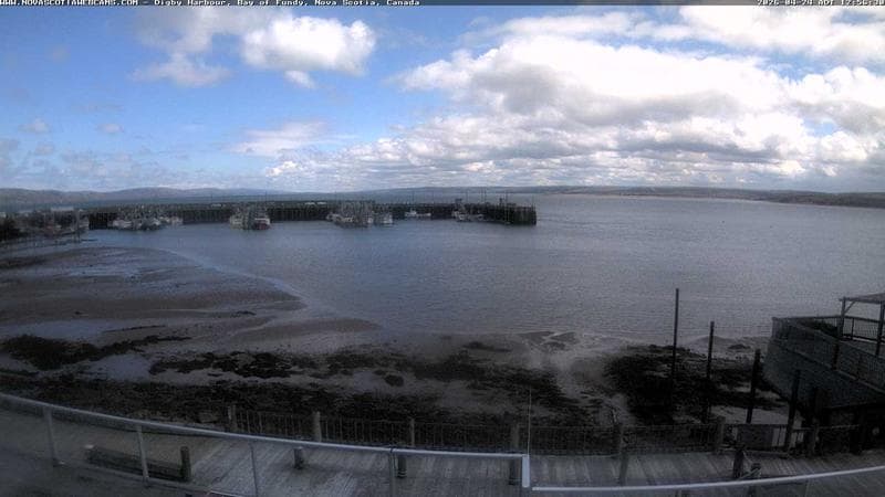Digby Harbour
