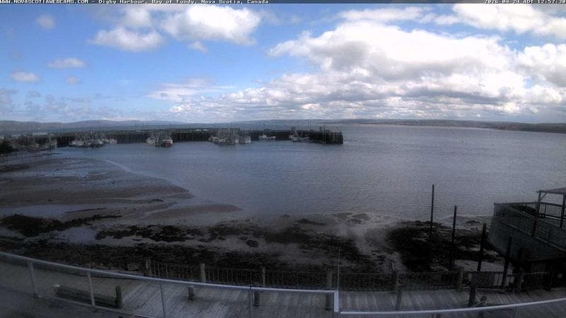 Digby Harbour
