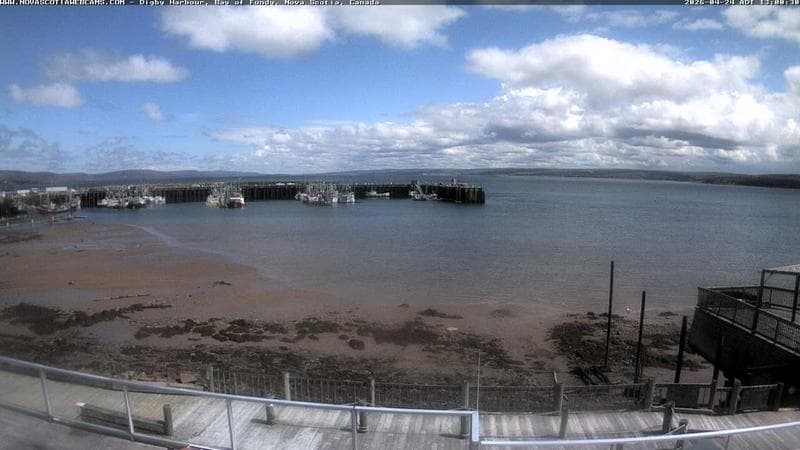 Digby Harbour