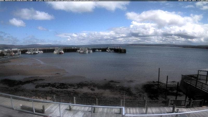 Digby Harbour