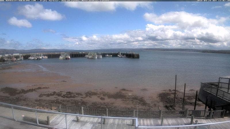 Digby Harbour