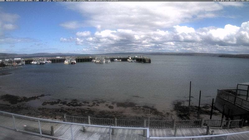 Digby Harbour