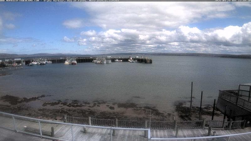 Digby Harbour