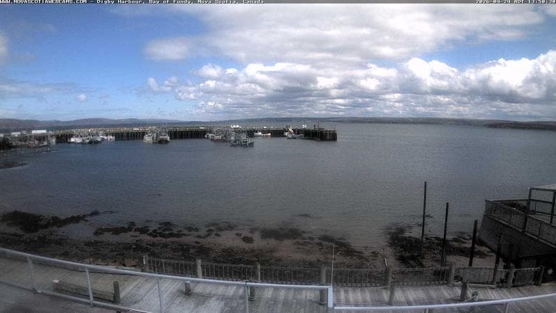 Digby Harbour