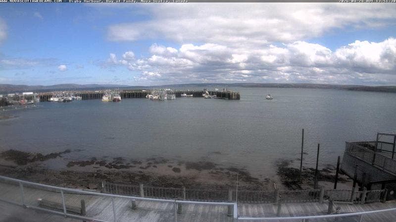 Digby Harbour