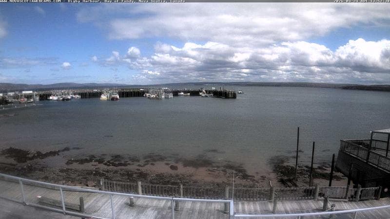 Digby Harbour