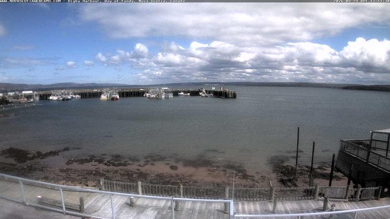 Digby Harbour
