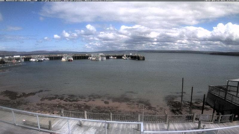 Digby Harbour