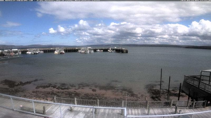Digby Harbour