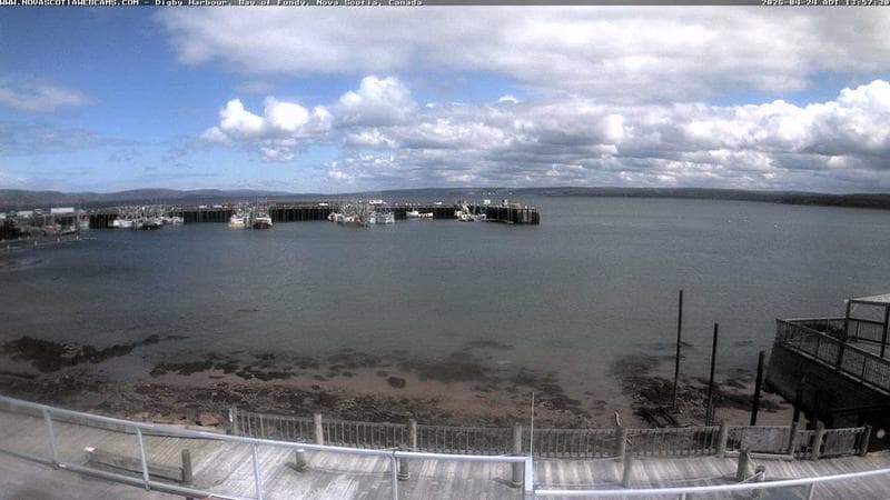 Digby Harbour