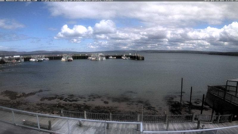 Digby Harbour