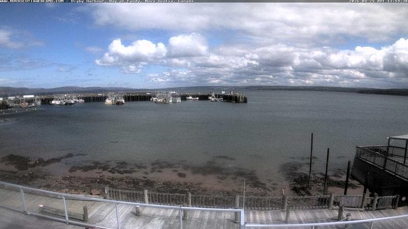 Digby Harbour