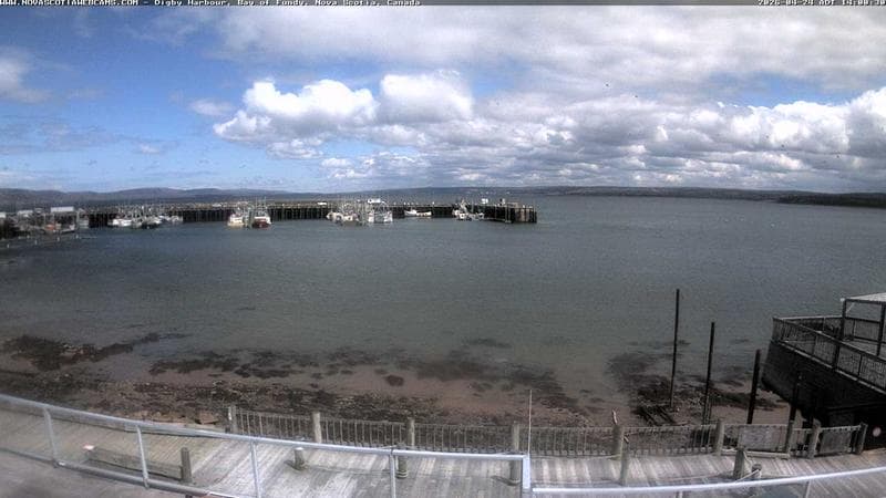 Digby Harbour