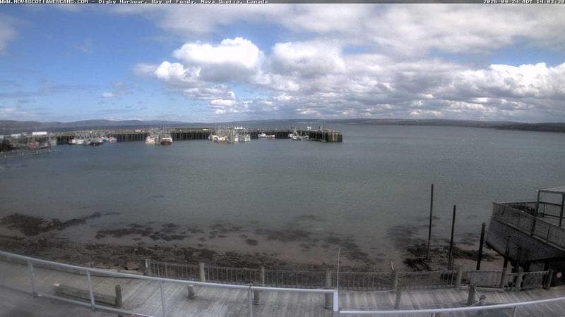Digby Harbour