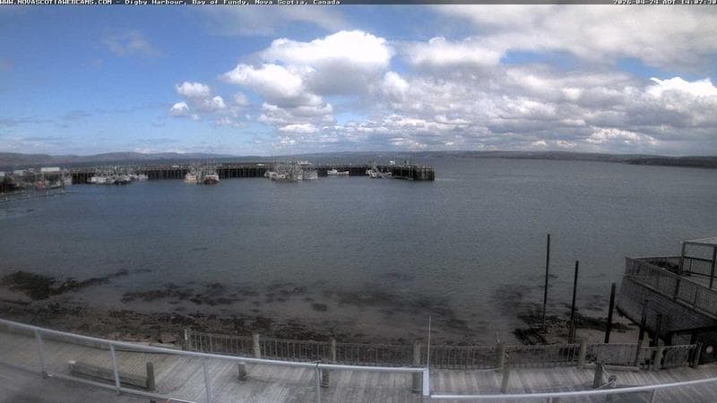 Digby Harbour