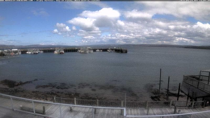 Digby Harbour