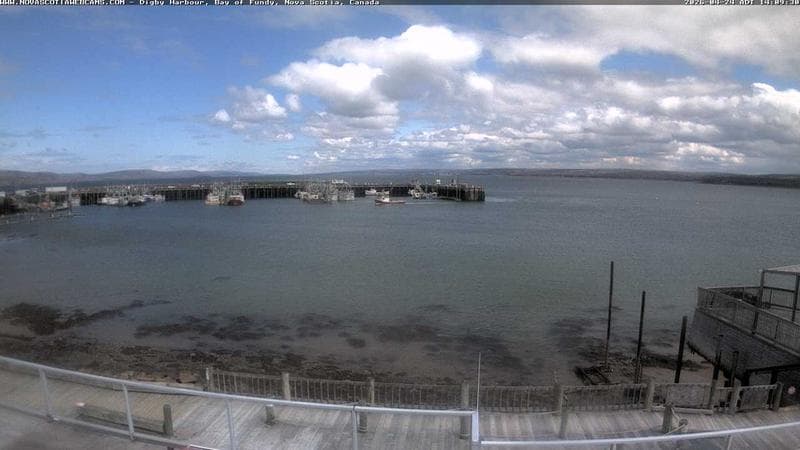 Digby Harbour