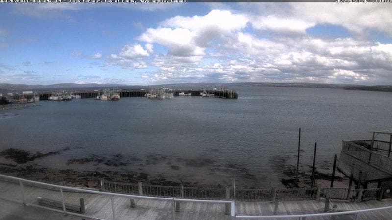 Digby Harbour