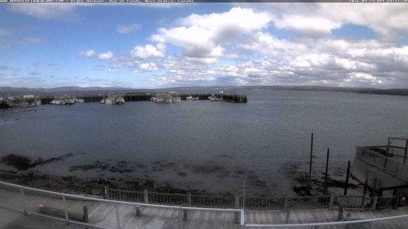 Digby Harbour