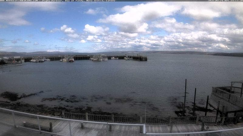 Digby Harbour