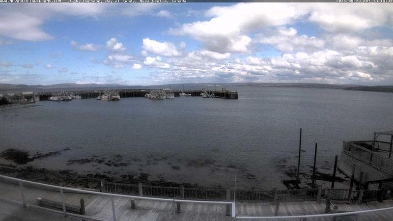 Digby Harbour