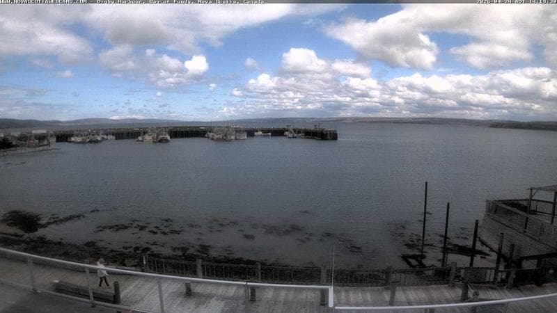 Digby Harbour