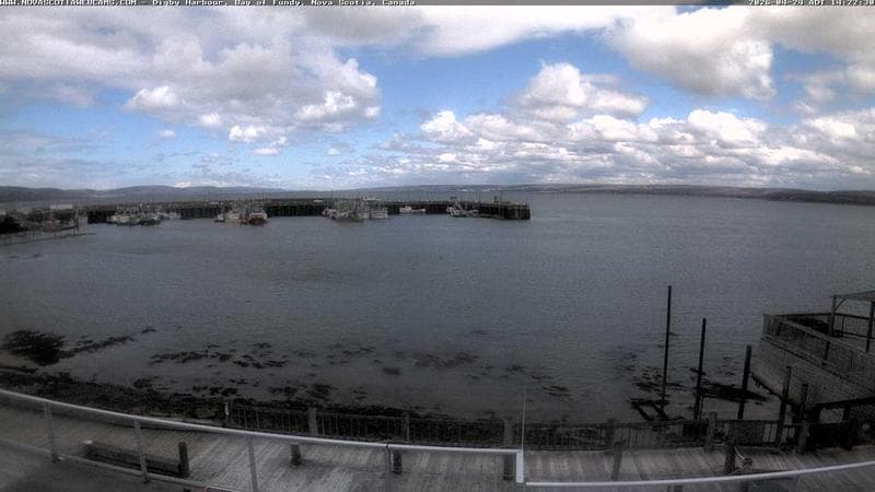 Digby Harbour