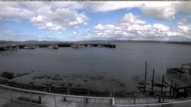 Digby Harbour