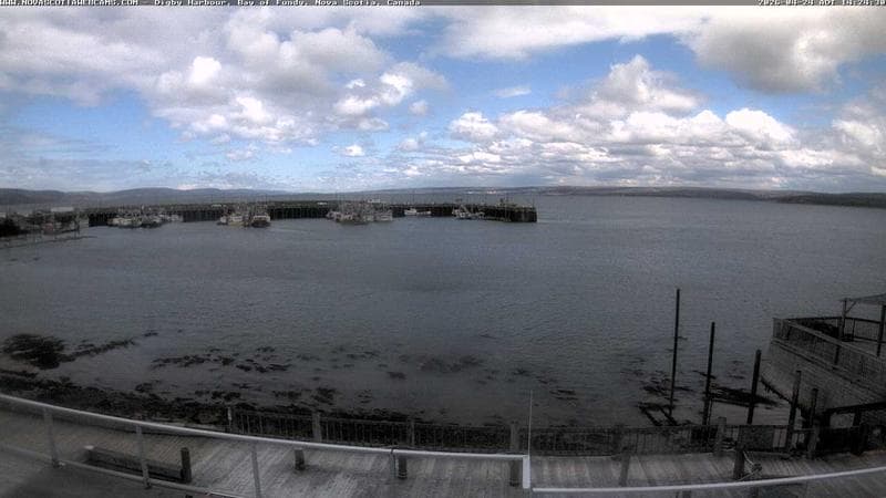 Digby Harbour