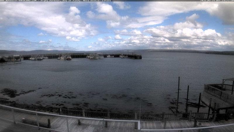 Digby Harbour