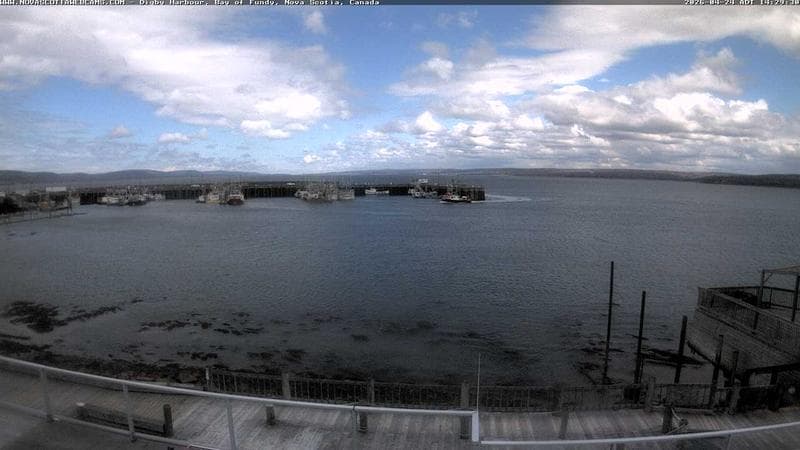 Digby Harbour
