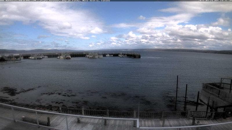 Digby Harbour