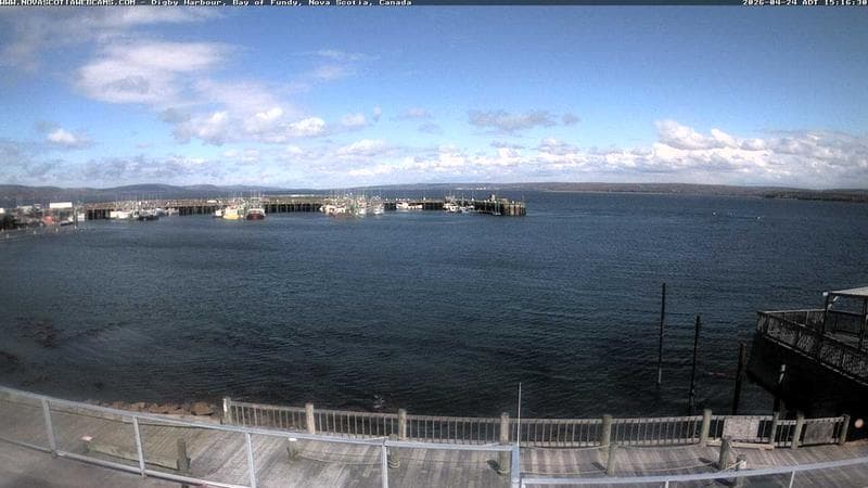 Digby Harbour