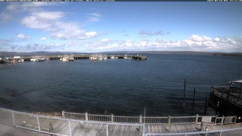 Digby Harbour