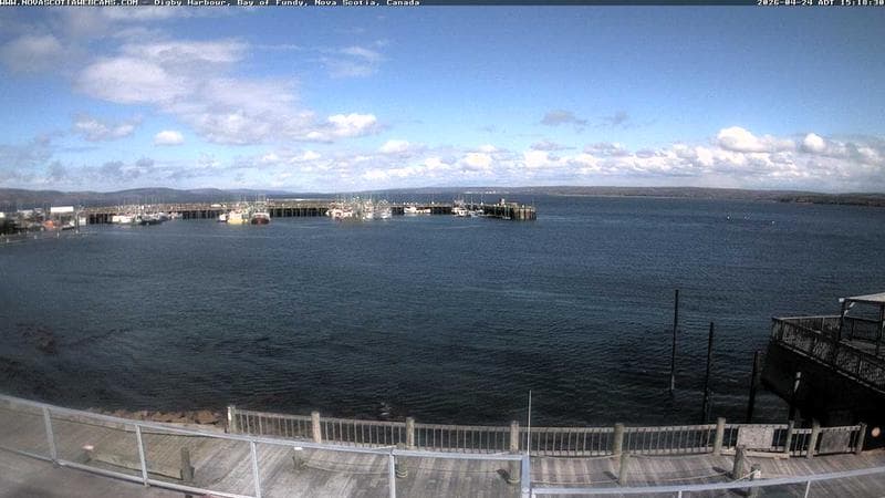 Digby Harbour