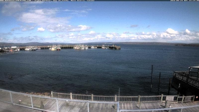 Digby Harbour