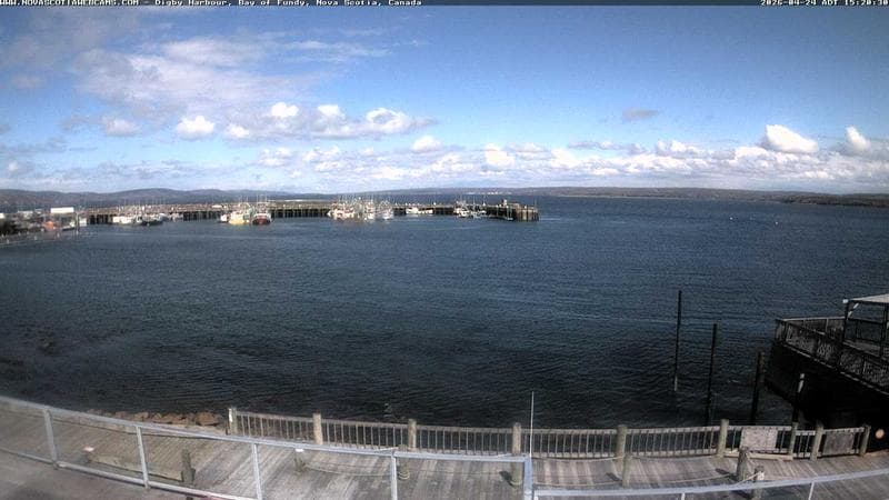 Digby Harbour