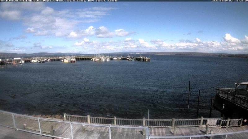 Digby Harbour