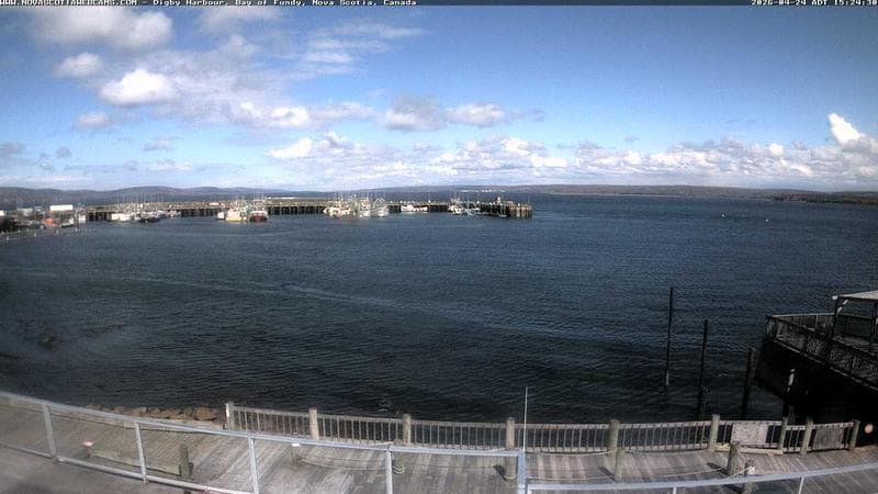 Digby Harbour