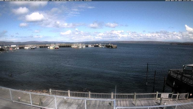 Digby Harbour