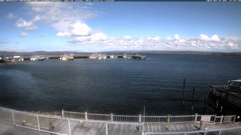 Digby Harbour