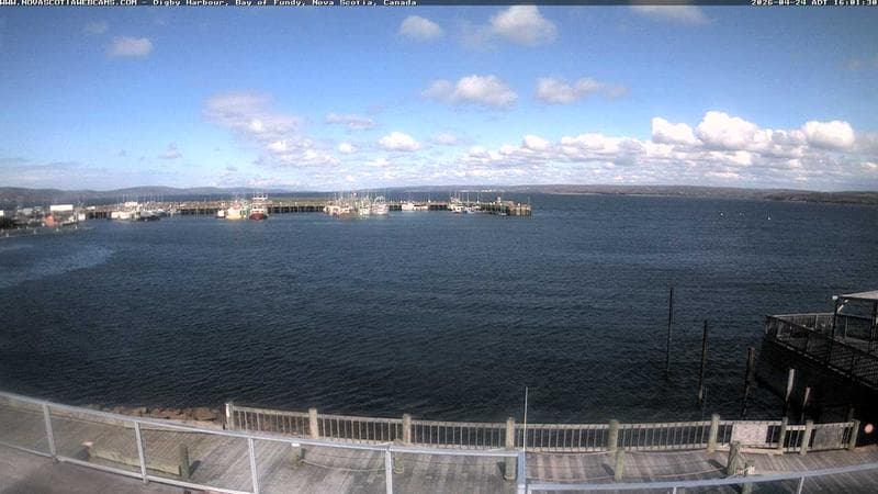 Digby Harbour