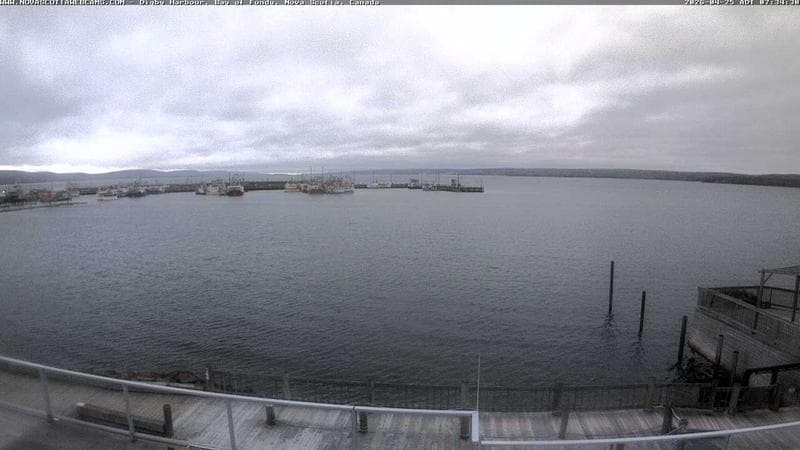 Digby Harbour