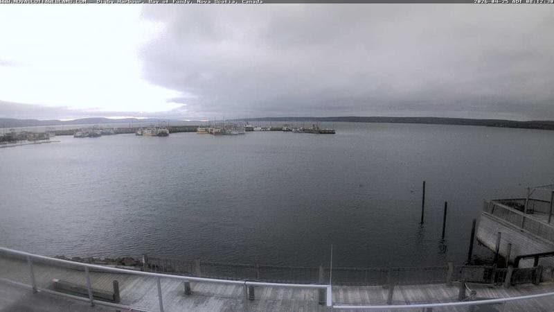 Digby Harbour