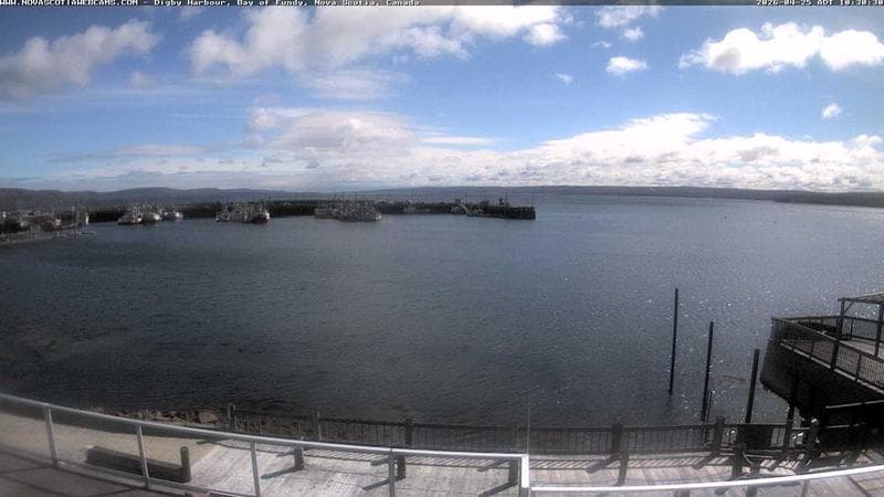 Digby Harbour