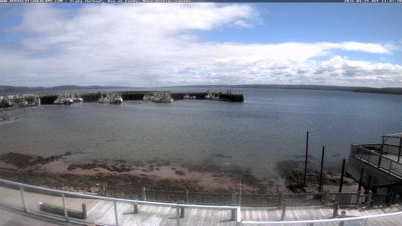 Digby Harbour