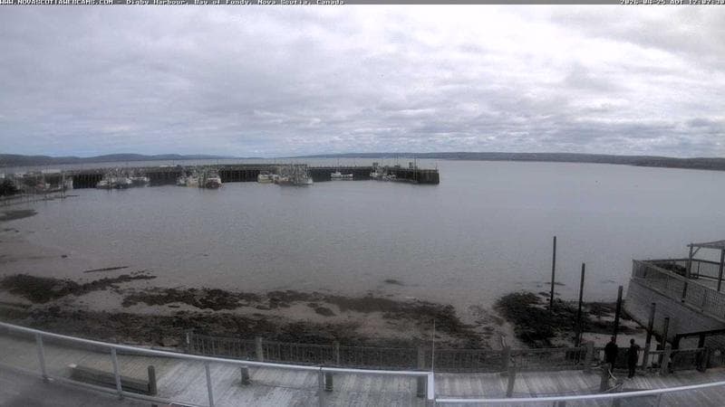 Digby Harbour