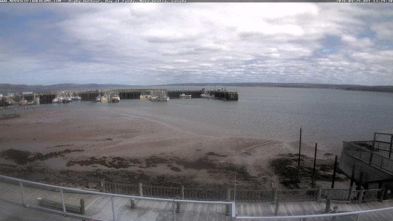 Digby Harbour