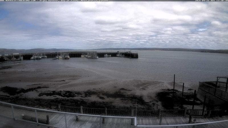 Digby Harbour