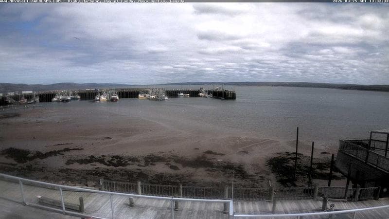 Digby Harbour
